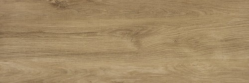 2CM BADIA FRAS.ROC R  40x120