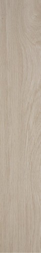BADIA ACERO RET  20X120