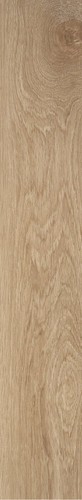 BADIA FRASSINO RET  20X120