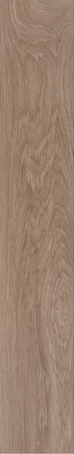 BADIA CASTAGNO RET  20X120