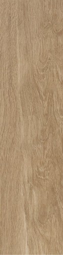 BADIA FRASSINO RET  30X120