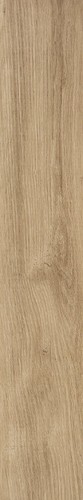 BADIA FRASSINO RET  25X151,2