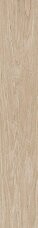 BIOWOOD FRASSINO RET  15x90