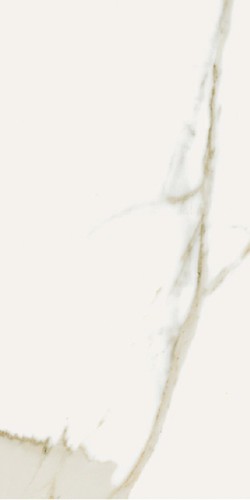 ARNI NAT RET  29,5X59