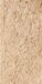 CIVITAS DORATO  15x30