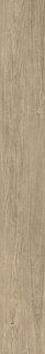 VERMONT PRO ELM RET  30X241