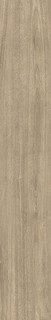 VERM.PRO ELM RET SP5  20x120