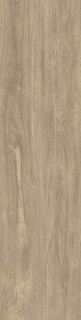 VERM.PRO ELM RET SP5  30x120