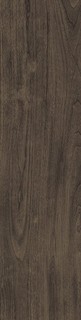 VERM.PRO OAK RET SP5  30x120