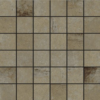 RECOVER VISON NAT MOS 5X5