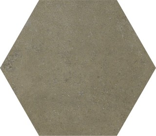 RECOVER VISON HEXAGON