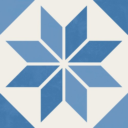 VANGUARD SYSTEM NATURAL
