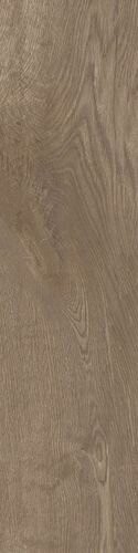 ARCO MAPLE NATURAL