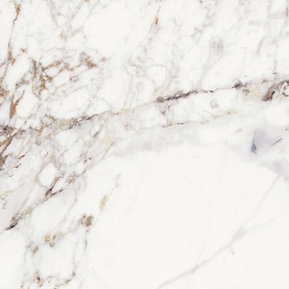 CALACATTA VIOLA POLISHED