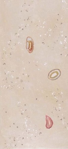GEODAS BEIGE DECOR