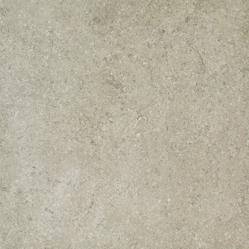 FOSSIL GRIS NATURAL