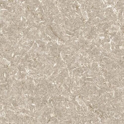 TRACK BEIGE NATURAL