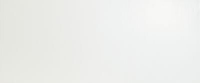 Solid White Matt 50x120