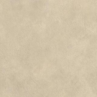 Boost Expression Tan 60x60