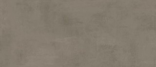 Boost Pro Taupe 120x278