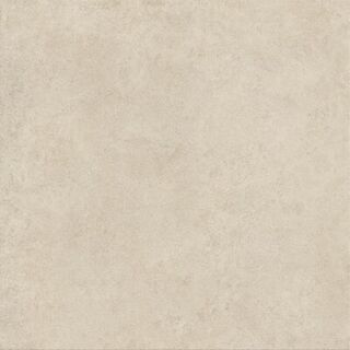 Boost Vision Camel 120x120