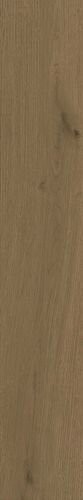 Entice Browned Oak Natural 20x120