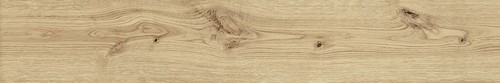 Exence Vanilla 20x120
