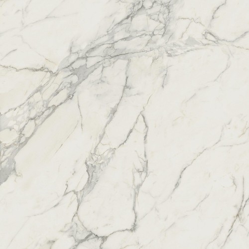 Marvel Calacatta Extra 120x120