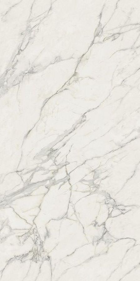 Calacatta Extra Polished 160x320