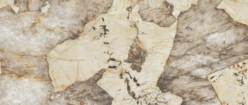 Marvel Desert Soul 120x278 Lappato