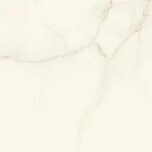 Marvel Calacatta Apuano 60x60 Matt