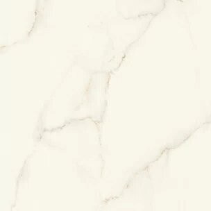 Marvel Calacatta Apuano120x120 Silk