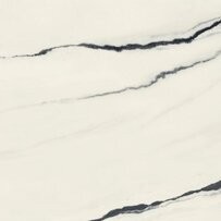 Forte Dei Marmi Panda White Rett 80x80