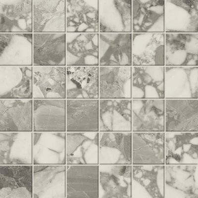 Forte Dei Marmi Ceppo Apuano Pearl Mosaic Lappato 30x30