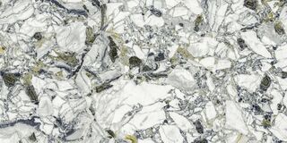 Forte Dei Marmi Quark Ceppo Apuano Forest 80x160 Lappato