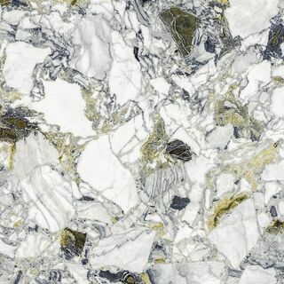 Forte Dei Marmi Quark Ceppo Apuano Forest 80x80 Lappato