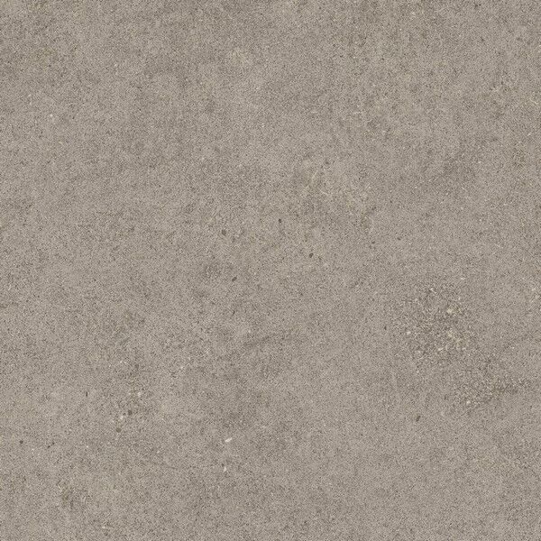 Forte Dei Marmi Rock Lunar Grey 60x60 LASTRA 20mm