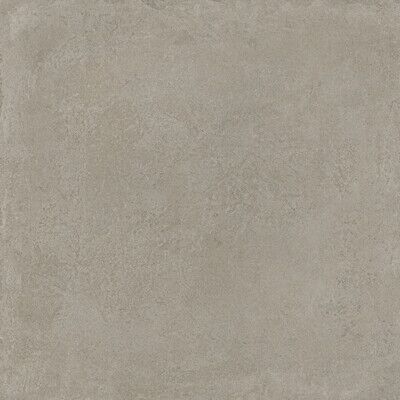 Rinascente Fusion Argilla 120x120/Ринашенте Фьюжн Арджилла 120Х120 (610010002977)