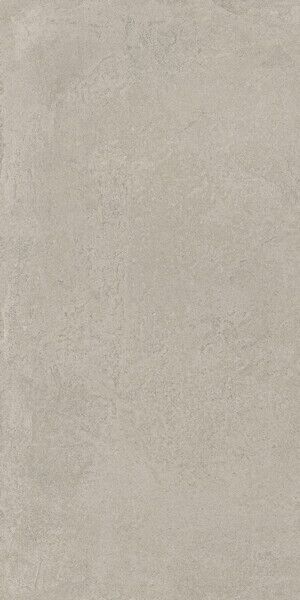 Rinascente Fusion Cenere 60x120/Ринашенте Фьюжн Ченере 60Х120 (610010002986)