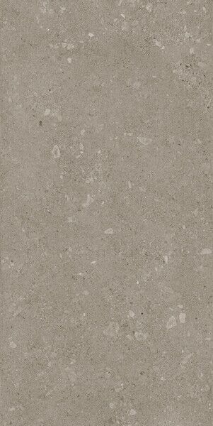 Rinascente Fusion Agglomerate Dark 60x120 /Ринашенте Фьюжн Аггломерат Дарк 60Х120 (610010002992)