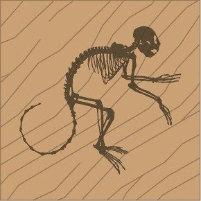 Monkey Laser Naturale (Q)