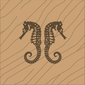 Seahorse Laser Naturale (Q)