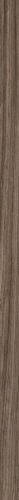 NATURE MOOD STRIP PLANK 02 4X120