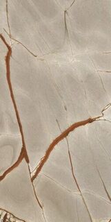 NATURE MOOD RAINFOREST GLOSSY 6MM 60X120 RT