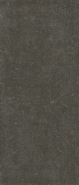 RINASCENZA ARENA PLATINO MATTE 6MM 120X280