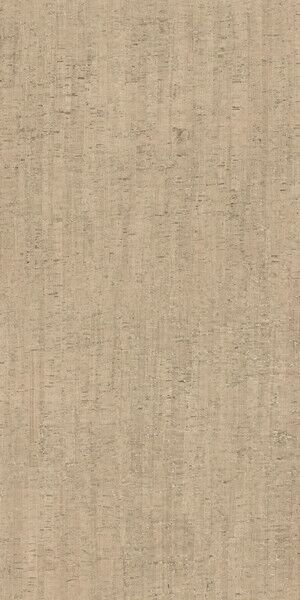 RINASCENZA MODULO CONCHIGLIA MATTE 6MM 120X240
