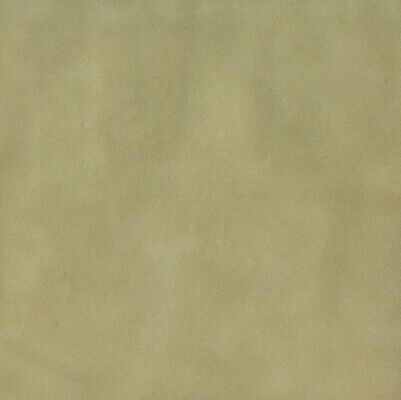 SENSI COLORE SALVIA GLOSSY 11,6X11,6