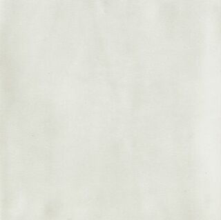 SENSI COLORE BIANCO GLOSSY 11,6X11,6