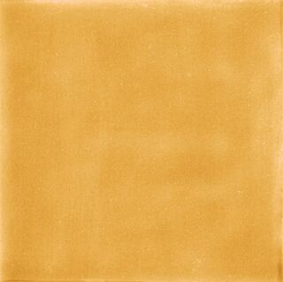 SENSI COLORE MIELE GLOSSY 11,6X11,6