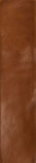 SENSI COLORE MARRONE GLOSSY 5,7X23,2
